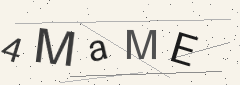 Captcha challenge