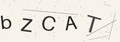 Captcha challenge