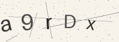 Captcha challenge