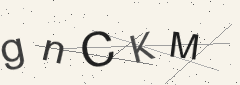 Captcha challenge