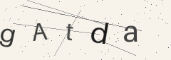 Captcha challenge
