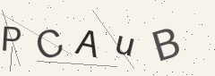 Captcha challenge