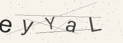 Captcha challenge