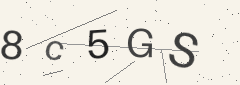 Captcha challenge