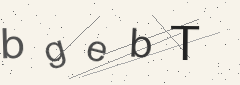 Captcha challenge