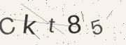 Captcha challenge