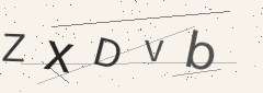 Captcha challenge