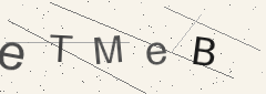 Captcha challenge