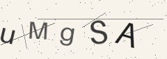 Captcha challenge