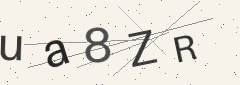 Captcha challenge