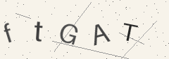 Captcha challenge