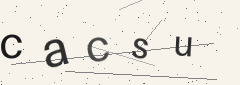 Captcha challenge
