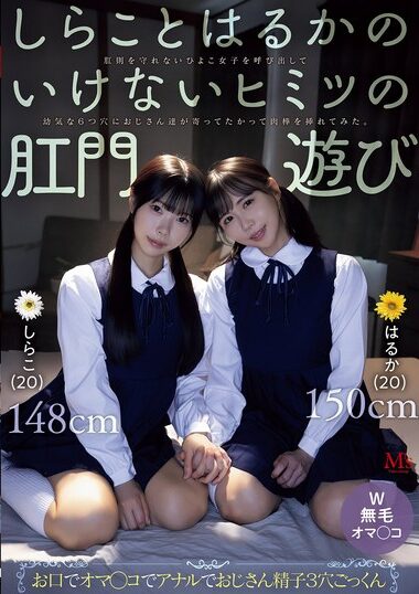 MVSD-680 – Shirako And Haruka's Unlawful Secret Anal Play